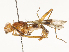 ( - CBG-A67801-E05)  @11 [ ] CreativeCommons - Attribution Share - Alike (2025) CBG Photography Group Centre for Biodiversity Genomics