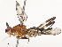  ( - CBG-A67802-A01)  @11 [ ] CreativeCommons - Attribution Share - Alike (2025) CBG Photography Group Centre for Biodiversity Genomics