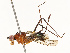  ( - CBG-A67891-F12)  @11 [ ] CreativeCommons - Attribution Share - Alike (2025) CBG Photography Group Centre for Biodiversity Genomics
