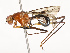  ( - CBG-A67891-G01)  @11 [ ] CreativeCommons - Attribution Share - Alike (2025) CBG Photography Group Centre for Biodiversity Genomics