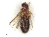  ( - CBG-A69598-H10)  @11 [ ] CreativeCommons - Attribution Share - Alike (2025) CBG Photography Group Centre for Biodiversity Genomics