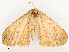  ( - CBG-B07475-A01)  @11 [ ] CreativeCommons - Attribution Share - Alike (2025) CBG Photography Group Centre for Biodiversity Genomics
