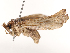  ( - CBG-B20282-C05)  @11 [ ] CreativeCommons - Attribution Share - Alike (2025) CBG Photography Group Centre for Biodiversity Genomics