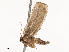  ( - CBG-B20282-F02)  @11 [ ] CreativeCommons - Attribution Share - Alike (2025) CBG Photography Group Centre for Biodiversity Genomics