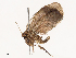  ( - CBG-B20282-G03)  @11 [ ] CreativeCommons - Attribution Share - Alike (2025) CBG Photography Group Centre for Biodiversity Genomics