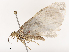  ( - CBG-B21788-B04)  @11 [ ] CreativeCommons - Attribution Share - Alike (2025) CBG Photography Group Centre for Biodiversity Genomics