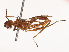  ( - CBG-B21789-G05)  @11 [ ] CreativeCommons - Attribution Share - Alike (2025) CBG Photography Group Centre for Biodiversity Genomics