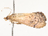  ( - CBG-A53638-C09)  @11 [ ] CreativeCommons - Attribution Share - Alike (2024) CBG Photography Group Centre for Biodiversity Genomics