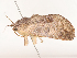  ( - CBG-A53639-F07)  @11 [ ] CreativeCommons - Attribution Share - Alike (2024) CBG Photography Group Centre for Biodiversity Genomics