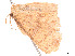  ( - CBG-A53639-H01)  @11 [ ] CreativeCommons - Attribution Share - Alike (2025) CBG Photography Group Centre for Biodiversity Genomics