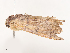 ( - CBG-A53641-D05)  @11 [ ] CreativeCommons - Attribution Share - Alike (2024) CBG Photography Group Centre for Biodiversity Genomics