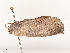  ( - CBG-A53641-D12)  @11 [ ] CreativeCommons - Attribution Share - Alike (2024) CBG Photography Group Centre for Biodiversity Genomics