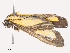  ( - CBG-A53642-B03)  @11 [ ] CreativeCommons - Attribution Share - Alike (2024) CBG Photography Group Centre for Biodiversity Genomics