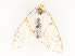  ( - CBG-A53642-H02)  @11 [ ] CreativeCommons - Attribution Share - Alike (2024) CBG Photography Group Centre for Biodiversity Genomics