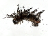  ( - CBG-A00334-H11)  @11 [ ] CreativeCommons - Attribution (2023) CBG Photography Group Centre for Biodiversity Genomics