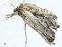  ( - CBG-A00335-C05)  @11 [ ] CreativeCommons - Attribution (2023) CBG Photography Group Centre for Biodiversity Genomics