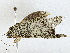  ( - CBG-A01168-G03)  @11 [ ] CreativeCommons - Attribution (2023) CBG Photography Group Centre for Biodiversity Genomics
