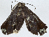  ( - CBG-A01168-G06)  @11 [ ] CreativeCommons - Attribution (2023) CBG Photography Group Centre for Biodiversity Genomics