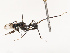  ( - CBG-B21622-D05)  @11 [ ] CreativeCommons - Attribution Share - Alike (2025) CBG Photography Group Centre for Biodiversity Genomics
