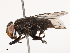  ( - CBG-B21627-E02)  @11 [ ] CreativeCommons - Attribution Share - Alike (2025) CBG Photography Group Centre for Biodiversity Genomics
