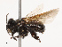  ( - CBG-B21629-B01)  @11 [ ] CreativeCommons - Attribution Share - Alike (2025) CBG Photography Group Centre for Biodiversity Genomics
