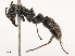  ( - CBG-B21733-F11)  @11 [ ] CreativeCommons - Attribution Share - Alike (2025) CBG Photography Group Centre for Biodiversity Genomics