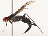  ( - CBG-B21783-E08)  @11 [ ] CreativeCommons - Attribution Share - Alike (2025) CBG Photography Group Centre for Biodiversity Genomics