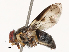 ( - CBG-B21783-F12)  @11 [ ] CreativeCommons - Attribution Share - Alike (2025) CBG Photography Group Centre for Biodiversity Genomics