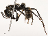  ( - CBG-B21785-D10)  @11 [ ] CreativeCommons - Attribution Share - Alike (2025) CBG Photography Group Centre for Biodiversity Genomics
