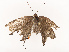  ( - CBG-B21793-D09)  @11 [ ] CreativeCommons - Attribution Share - Alike (2025) CBG Photography Group Centre for Biodiversity Genomics