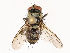  ( - CBG-B21793-G04)  @11 [ ] CreativeCommons - Attribution Share - Alike (2025) CBG Photography Group Centre for Biodiversity Genomics