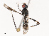  ( - CBG-B21794-B02)  @11 [ ] CreativeCommons - Attribution Share - Alike (2025) CBG Photography Group Centre for Biodiversity Genomics