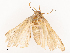  ( - CBG-B22879-F05)  @11 [ ] CreativeCommons - Attribution Share - Alike (2025) CBG Photography Group Centre for Biodiversity Genomics