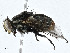  ( - CBG-A00375-D07)  @11 [ ] CreativeCommons - Attribution (2023) CBG Photography Group Centre for Biodiversity Genomics