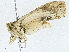  ( - CBG-A00401-D09)  @11 [ ] CreativeCommons - Attribution (2023) CBG Photography Group Centre for Biodiversity Genomics