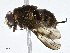  ( - CBG-A01185-C03)  @11 [ ] CreativeCommons - Attribution (2023) CBG Photography Group Centre for Biodiversity Genomics