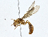  ( - CBG-A01185-C07)  @13 [ ] CreativeCommons - Attribution (2023) CBG Photography Group Centre for Biodiversity Genomics