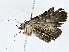  ( - CBG-A01214-C07)  @11 [ ] CreativeCommons - Attribution (2023) CBG Photography Group Centre for Biodiversity Genomics