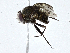  ( - CBG-A01217-E08)  @11 [ ] CreativeCommons - Attribution (2023) CBG Photography Group Centre for Biodiversity Genomics