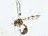  ( - CBG-A01217-H04)  @13 [ ] CreativeCommons - Attribution (2023) CBG Photography Group Centre for Biodiversity Genomics