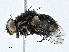  ( - CBG-A01220-D10)  @11 [ ] CreativeCommons - Attribution (2023) CBG Photography Group Centre for Biodiversity Genomics