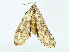  ( - CBG-A01220-H10)  @11 [ ] CreativeCommons - Attribution (2023) CBG Photography Group Centre for Biodiversity Genomics