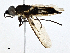  ( - CBG-A02887-D04)  @11 [ ] CreativeCommons - Attribution (2023) CBG Photography Group Centre for Biodiversity Genomics