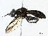  ( - CBG-A04460-A01)  @11 [ ] CreativeCommons - Attribution (2023) CBG Photography Group Centre for Biodiversity Genomics