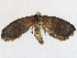  ( - CBG-A16684-C01)  @11 [ ] CreativeCommons - Attribution Share-Alike (2023) CBG Photography Group Centre for Biodiversity Genomics