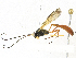  ( - CBG-A18375-B12)  @11 [ ] CreativeCommons - Attribution Share-Alike (2023) CBG Photography Group Centre for Biodiversity Genomics