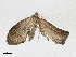  ( - CBG-A18375-F06)  @11 [ ] CreativeCommons - Attribution Share-Alike (2023) CBG Photography Group Centre for Biodiversity Genomics