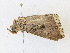  ( - CBG-A18378-C12)  @11 [ ] CreativeCommons - Attribution Share-Alike (2023) CBG Photography Group Centre for Biodiversity Genomics