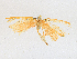  ( - CBG-A18378-D04)  @11 [ ] CreativeCommons - Attribution Share-Alike (2023) CBG Photography Group Centre for Biodiversity Genomics