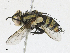  ( - CBG-A18386-C07)  @11 [ ] CreativeCommons - Attribution Share - Alike (2023) CBG Photography Group Centre for Biodiversity Genomics